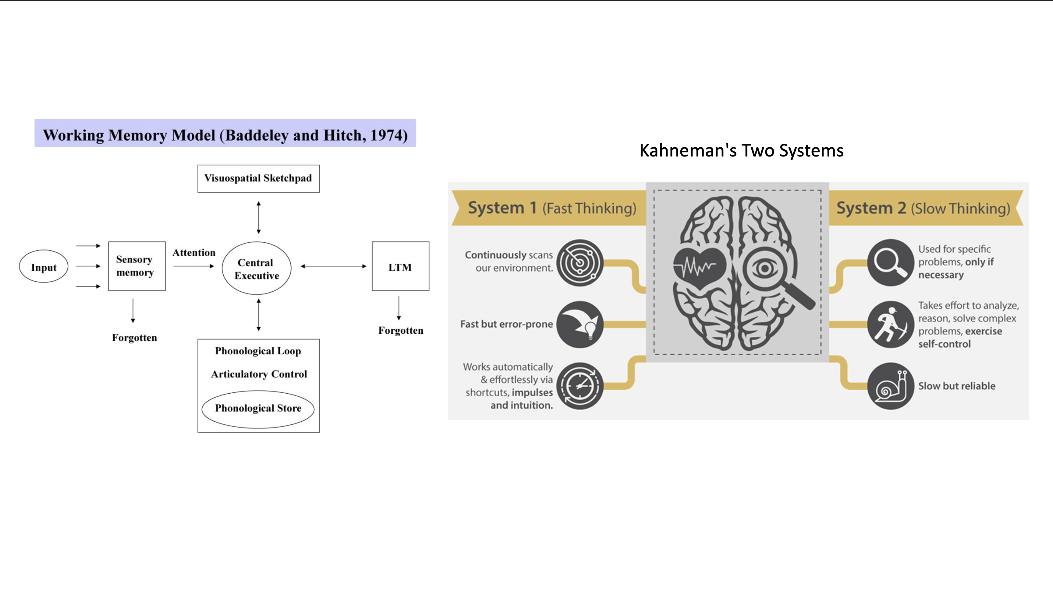 The Psychology of Neural Networks